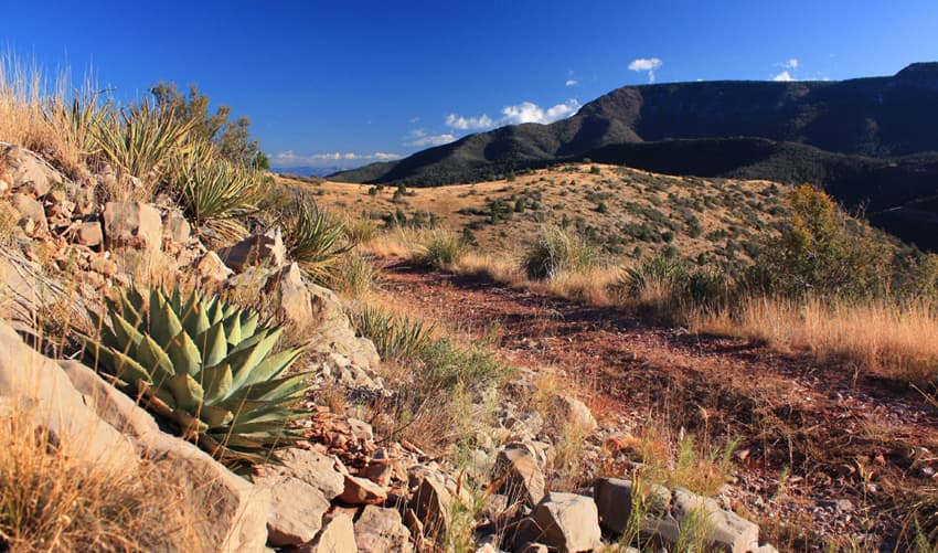 Prescott-y-Jerome Espectaculares Viajes de fin de semana en Phoenix