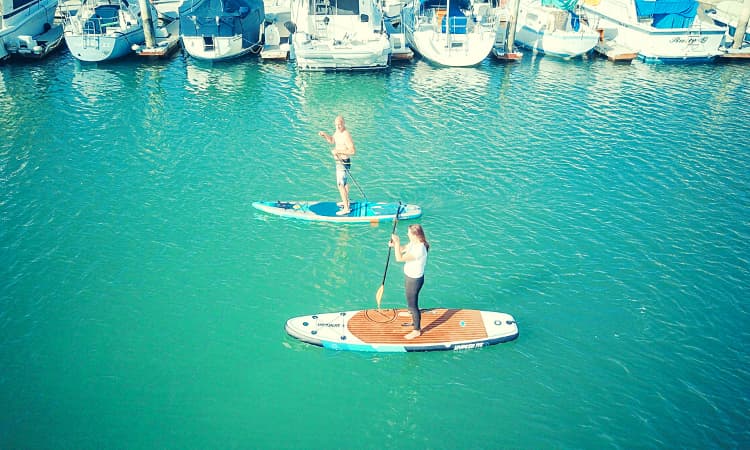 Prueba-el-paddleboarding 5 mejores actividades acuáticas en Fort Myers Florida