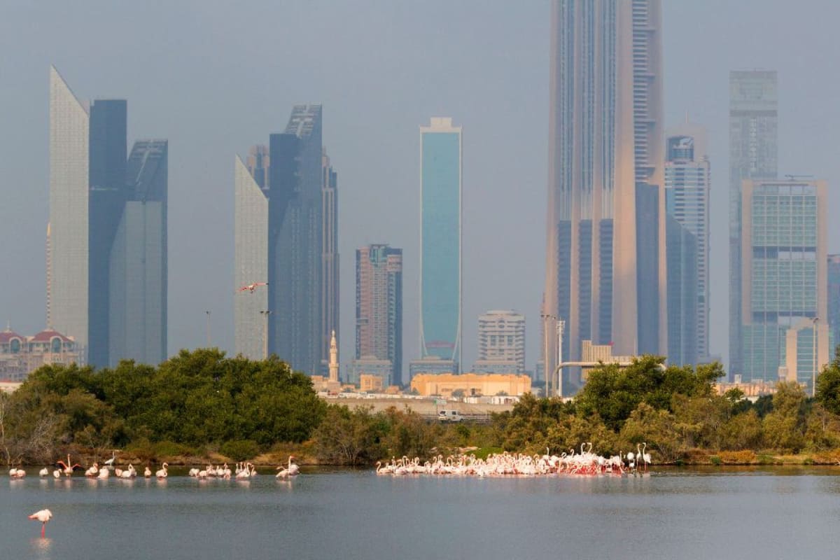 Pueblos y Ciudades de Qatar que Debes Conocer