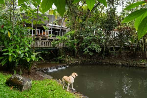 Rancho-Margot-Eco-Lodges-en-Costa-Rica Mejores Eco-Lodges en Costa Rica