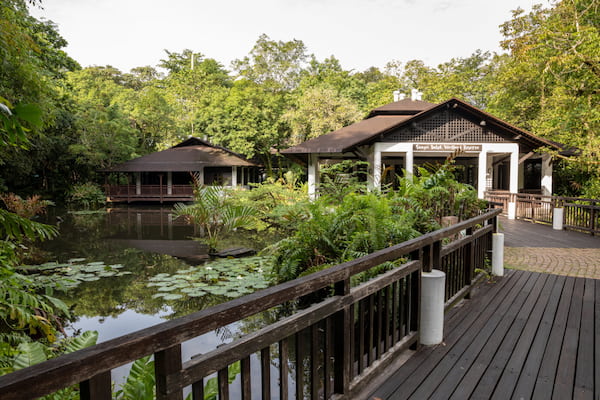 Reserva-Natural-del-Humedal-Sungei-Buloh-1 Las 4 mejores caminatas al aire libre en Singapur