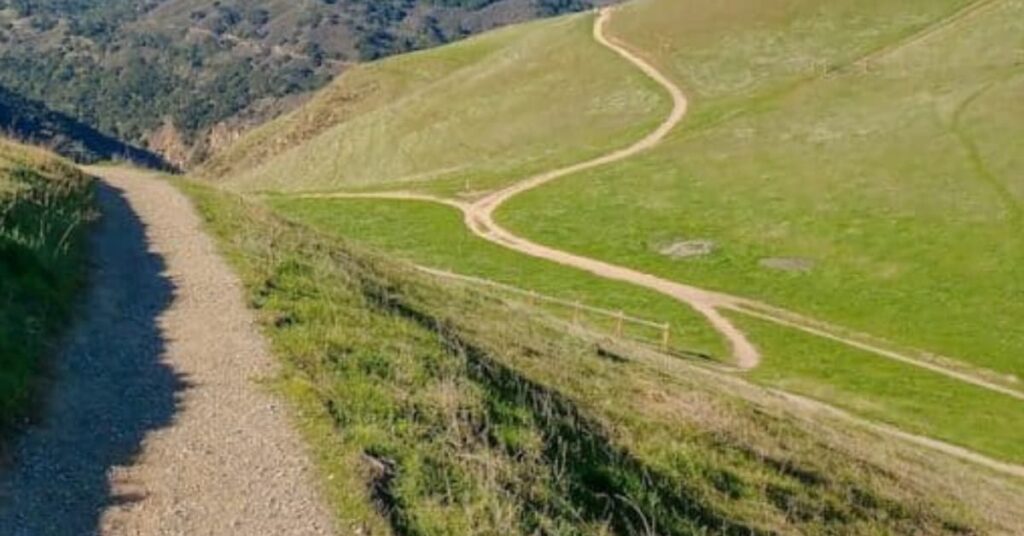 Reserva-de-Sierra-Vista-1024x536 Mejores Caminatas cerca de la bahía de San José de California