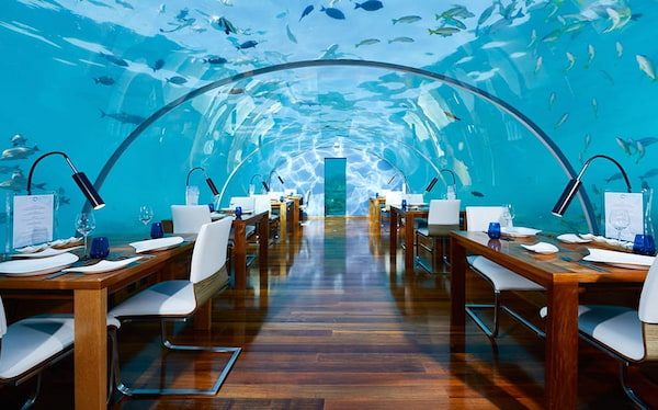 Restaurante-Ocean-1 7 Maravillosos lugares para cenar en Singapur