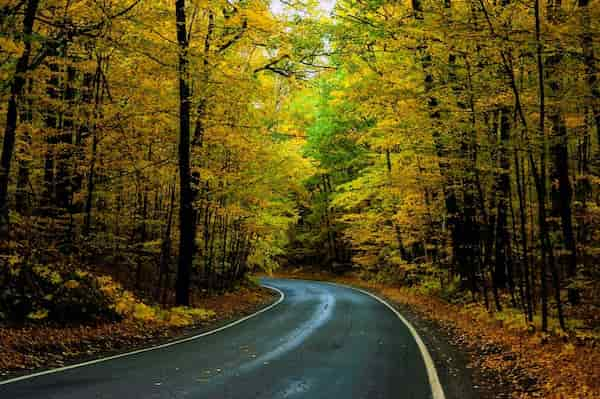 Ruta-Patrimonial-Escenica-Tunel-de-los-Arboles 9 Lugares asombrosos para ver los Colores del Otoño en Michigan