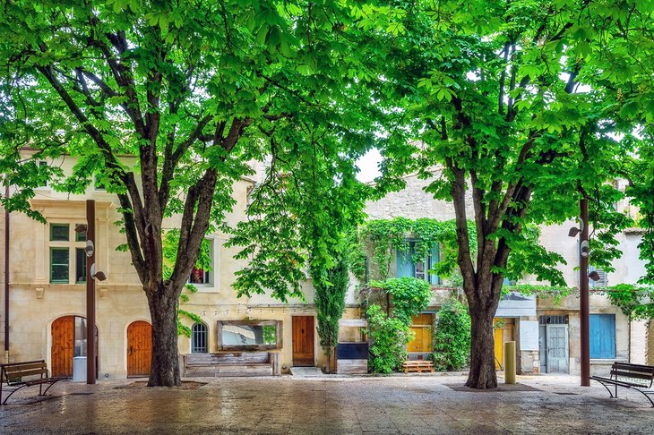 Saint-Remy-de-Provenza 10 Mejores lugares para visitar en Aviñón, Francia