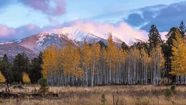 San-Francisco-Peaks 7 Lugares para VER los Colores de Otoño en Arizona