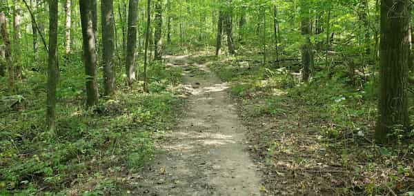 Sendero-de-las-Tierras-Altas 10 Rutas de Senderismo en el Parque Estatal Devil's Lake en Wisconsin