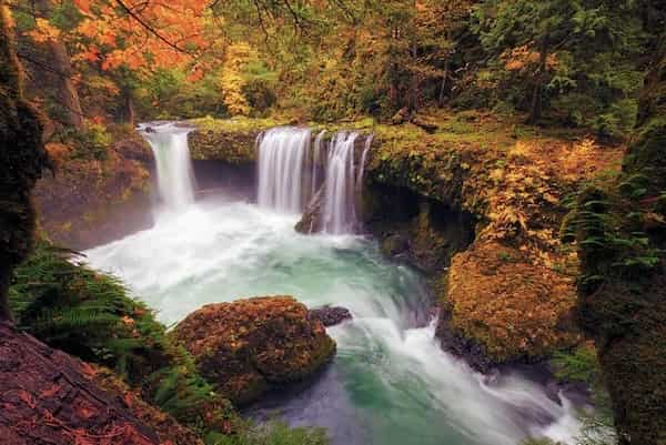 Spirit-Falls-Cascadas-en-Washington Descubre 12 Impresionantes Cascadas en Washington