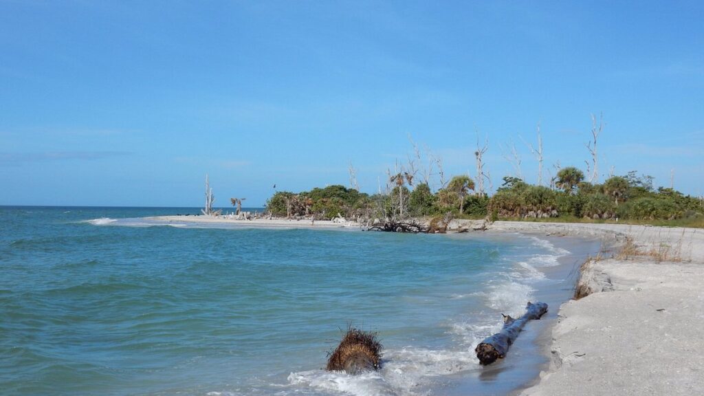 Stump-Pass-Beach-State-Park-foto-1024x576 Englewood Florida: Costa Suroeste