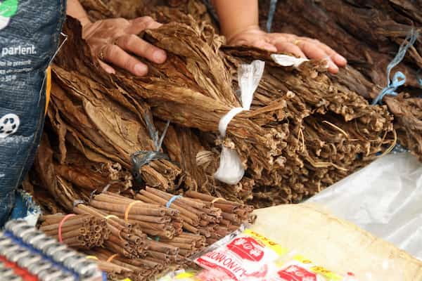 Todo-comienza-con-el-tabaco-dominicano Conoce los puros artesanales de República Dominicana