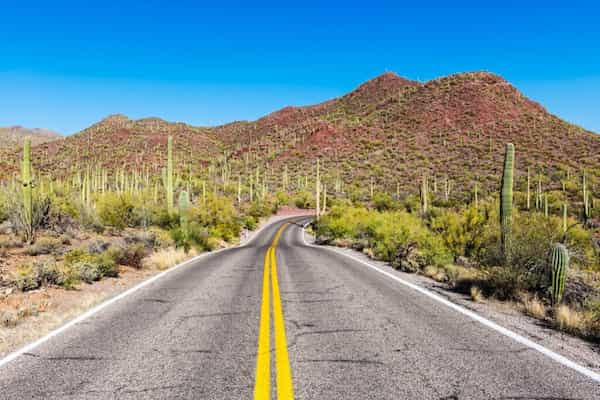 Tome-un-paseo-panoramico-por-el-parque Descubriendo el Parque Nacional Saguaro: Información esencial previa a tu visita