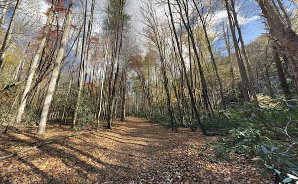 Valle-maggie-Sendero-Rough-Fork-Parque-Nacional-Great-Smoky-Mountains 10 Espectaculares Caminatas en Carolina del Norte