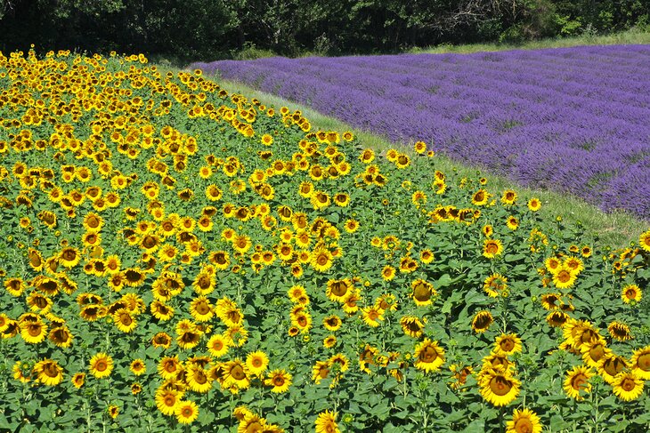 Valreas-pintoresca 20 Mejores lugares para visitar en Haut-Vaucluse, Provenza