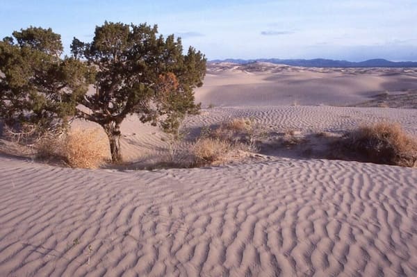 Viaje-lateral-de-la-etapa-1-Little-Sahara Ruta de Viaje por Carretera de Salt Lake City a Zion