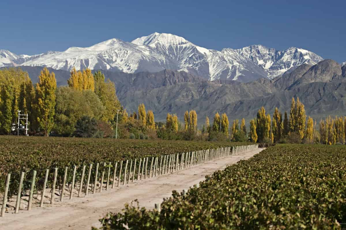 Visita Los Mejores Restaurantes en Mendoza, Argentina