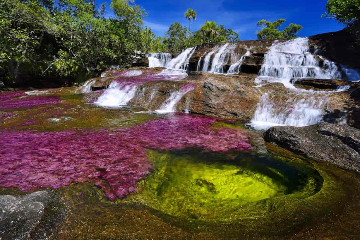 Visita el Maravilloso Río Caño Cristales ¡Un Arcoíris Líquido!