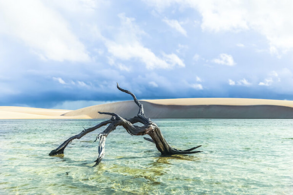 hermosa-vista-del-parque-2 Visita el parque nacional de los Lençóis Maranhenses en Brasil