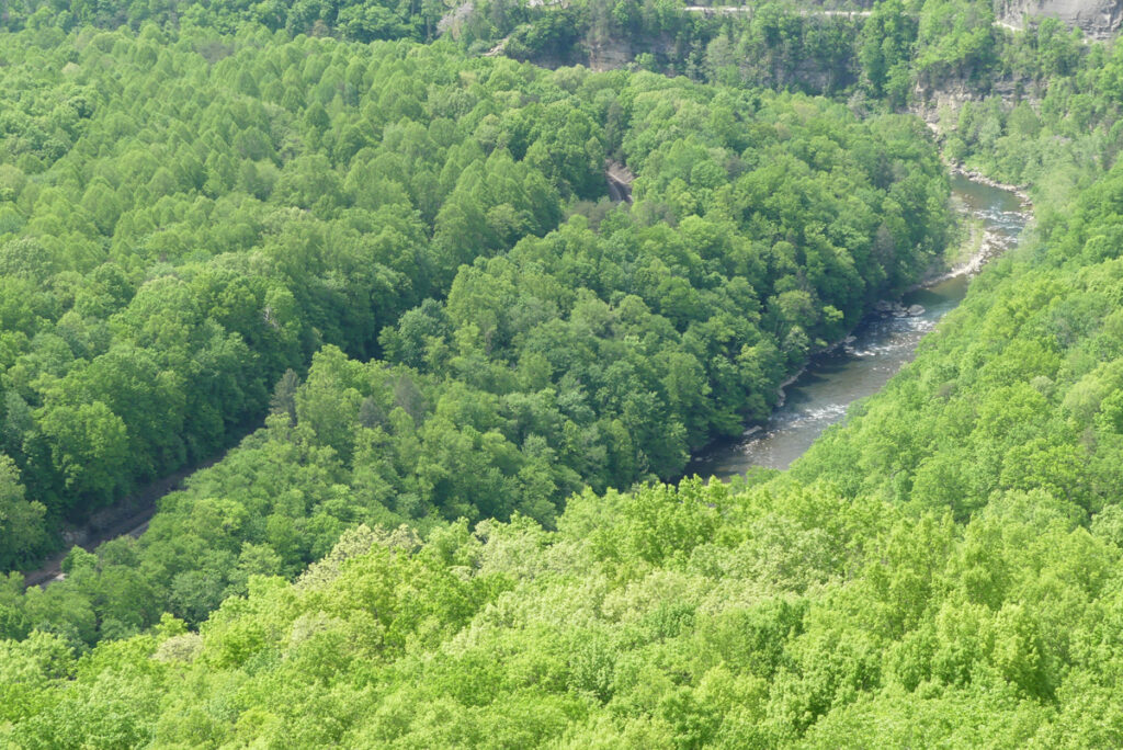 image-1001 9 Cosas para hacer en Breaks Interstate Park, Virginia