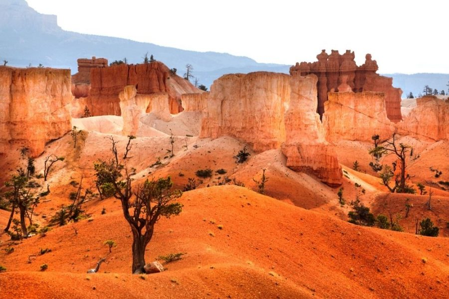 image-168 12 Destacadas actividades en el Parque Nacional Bryce Canyon