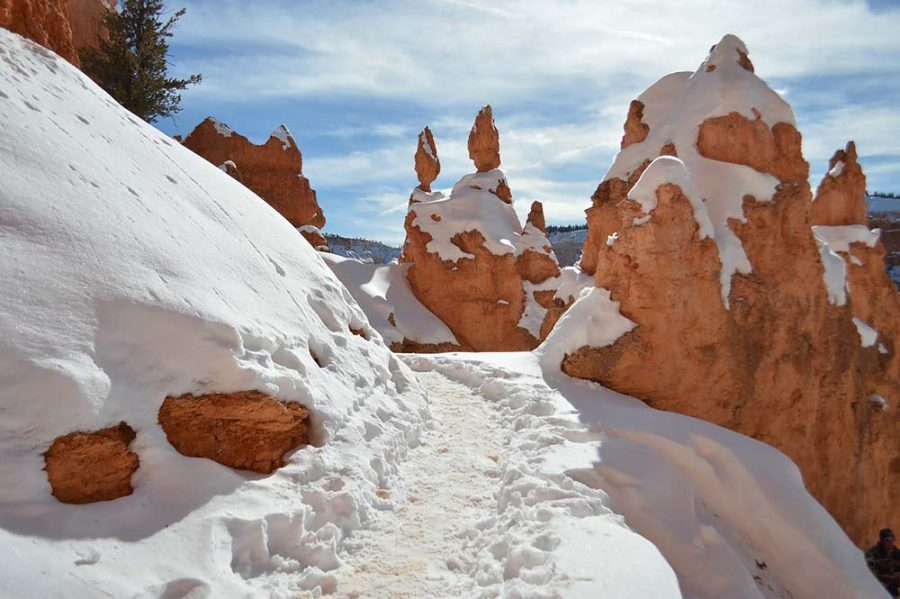 image-172 12 Destacadas actividades en el Parque Nacional Bryce Canyon