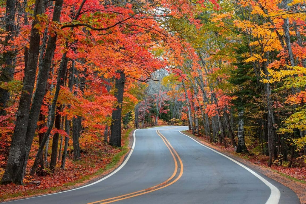 image-247-1024x683 8 Increíbles Rutas Panorámicas en Michigan que Ofrecen Paisajes Excepcionales