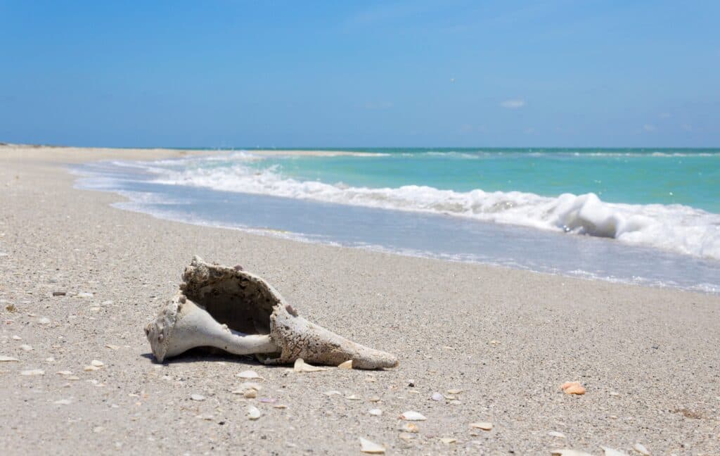 playas-solitarias-de-Florida-Parque-Estatal-Cayo-Costa-cerca-de-Boca-Grande 10 mejores playas solitarias de Florida