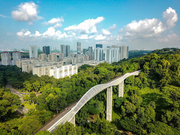 puente-Henderson-Waves-mejores-caminatas-en-singapur-3 Las 4 mejores caminatas al aire libre en Singapur