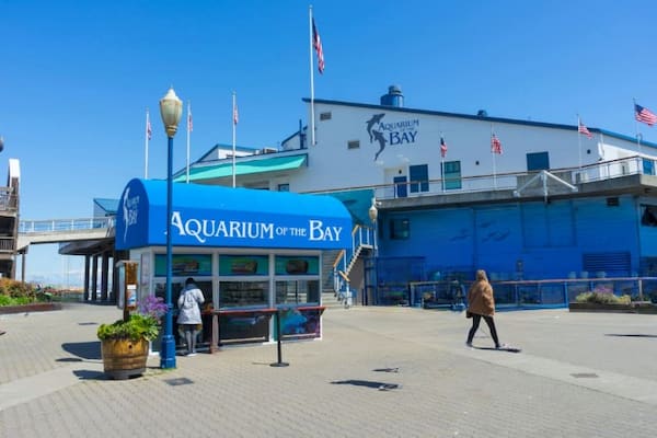 Acuario Pier 39 en San Francisco: Guía Completa