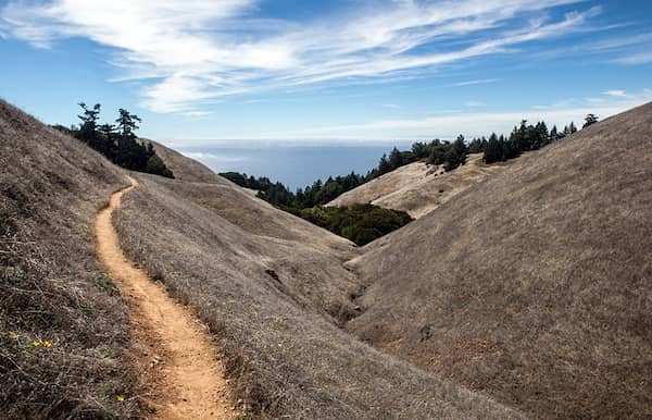 Monte-Tamalpais 16 Excusiones desde San Francisco para un día