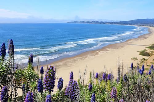 Playa-Stinson-condado-de-Marin-1 11 Espectaculares playas de San Francisco: Un paraíso costero en la ciudad