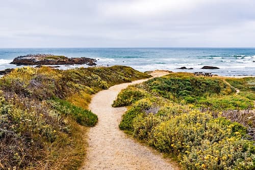 Playa-estatal-de-Pescadero-condado-de-San-Mateo-1 11 Espectaculares playas de San Francisco: Un paraíso costero en la ciudad