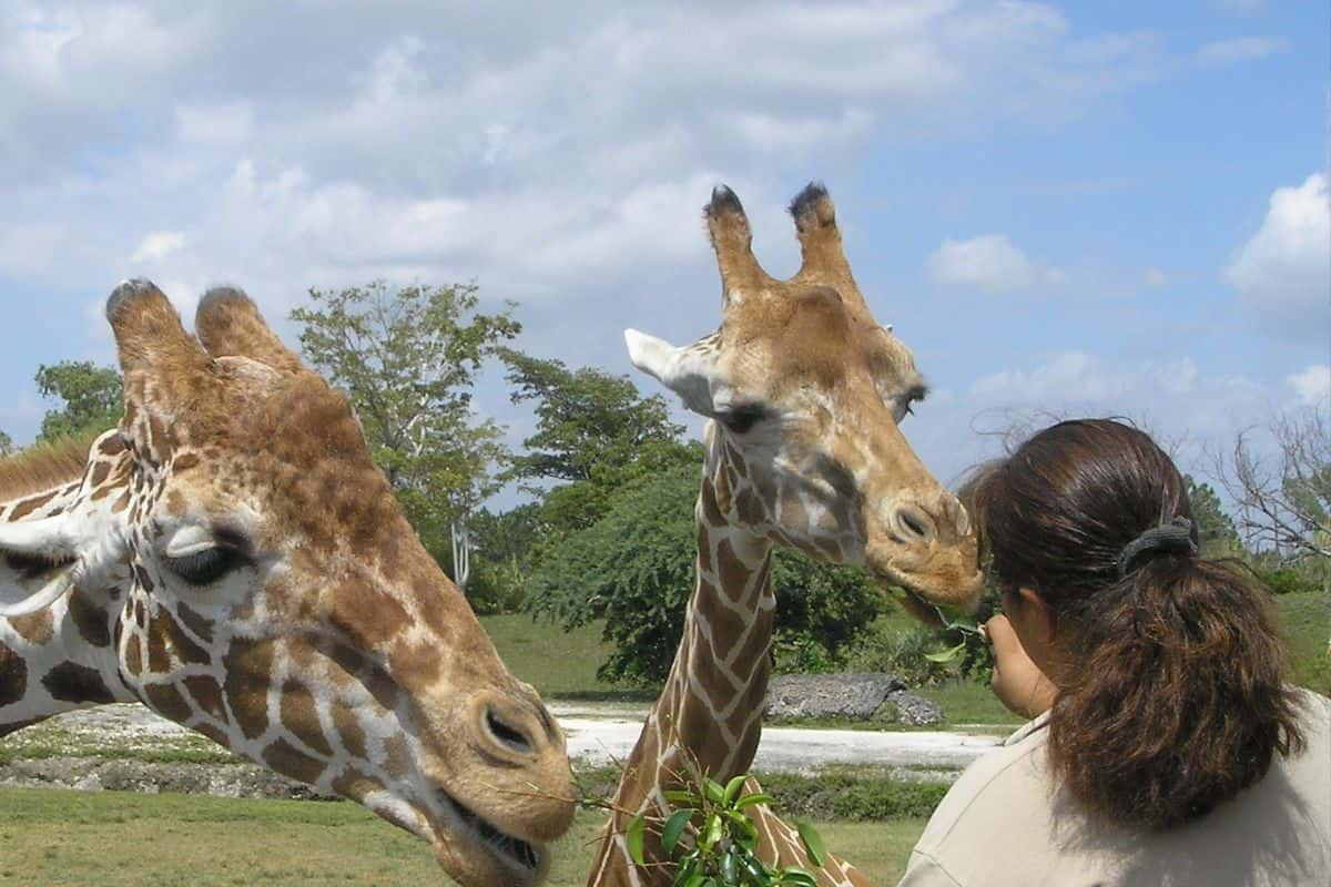 Actividades con niños en San Diego