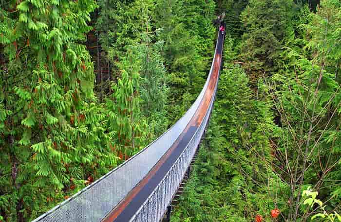 Camine-por-el-puente-colgante-de-Capilano 22 Lugares turísticos en Vancouver que te sorprenderán