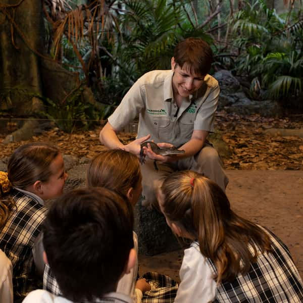 Encuentro-cara-a-cara-con-los-animales-en-el-Zoologico-de-Taronga 12 Actividades con niños en Sídney: Diversión para Toda la Familia