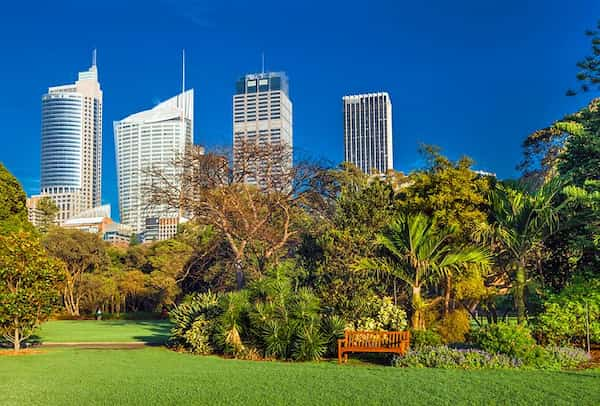 Huele-las-rosas-en-el-Real-Jardin-Botanico-de-Sidney Lugares para visitar en Sídney: Disfruta de una experiencia única