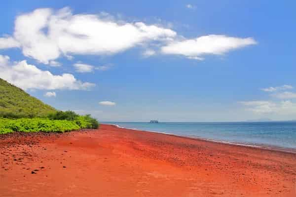 Isla-Rabida-Parque-Nacional-Galapagos Playas de Ecuador: 17 Paraísos que debes conocer