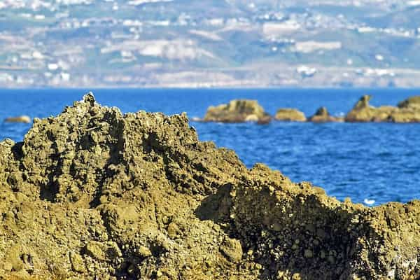 Los-Coronados-cosas-que-puedes-hacer-en-Rosarito Mejores cosas que puedes hacer en Rosarito: 12 planes esenciales para tu visita