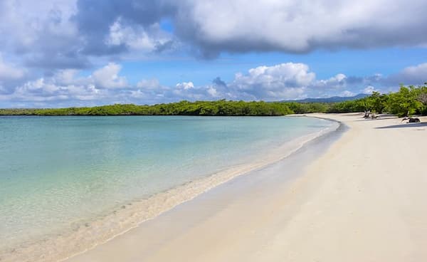 Playa-Tortuga-Bay-Isla-Santa-Cruz-Galapagos Playas de Ecuador: 17 Paraísos que debes conocer