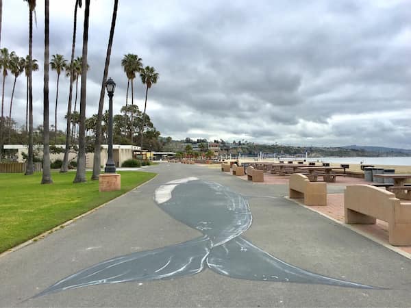 Playa-estatal-de-Doheny-Dana-Point 20 Destacadas playas del sur de California para disfrutar del sol y las olas