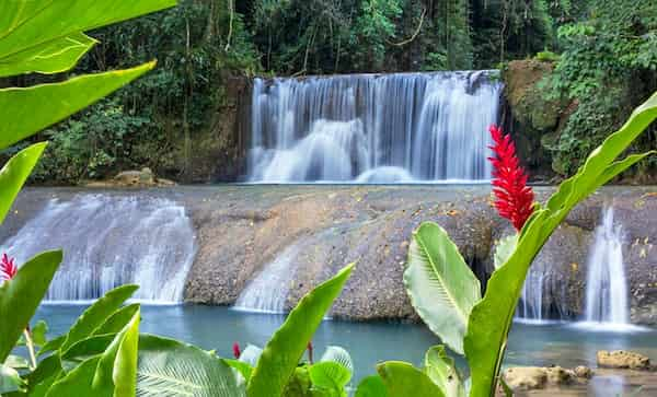 Safari-en-barco-por-el-rio-Negro-y-cataratas-YS 18 Atracciones turísticas en Jamaica: Destinos Turísticos Imperdibles