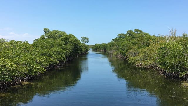 Hermoso-Parque-Nacional-Biscayne 10 Excursiones de un día desde Miami: Descubre lo mejor del sur de Florida