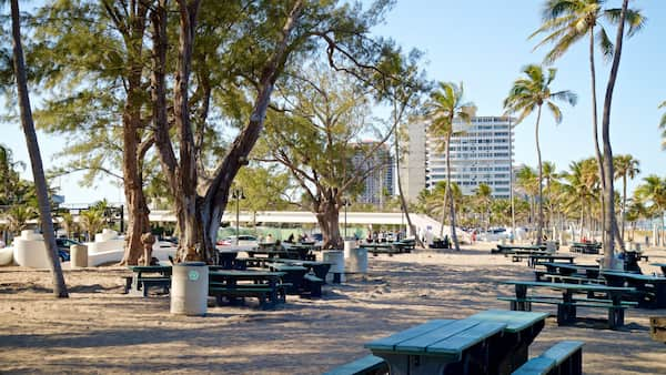 Parque-de-la-playa-de-Fort-Lauderdale Playas de Fort Lauderdale, Florida: 16 Rincones de Arena y Mar para Disfrutar