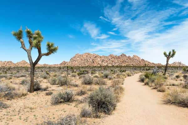 Sendero-del-agujero-del-sauce 14 Rutas de senderismo en el Parque Nacional Joshua Tree