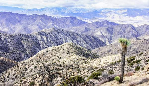 Sendero-del-pico-Warren 14 Rutas de senderismo en el Parque Nacional Joshua Tree