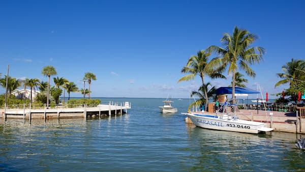 visita-Key-Largo-Excursiones-de-un-dia-desde-Miami 10 Excursiones de un día desde Miami: Descubre lo mejor del sur de Florida