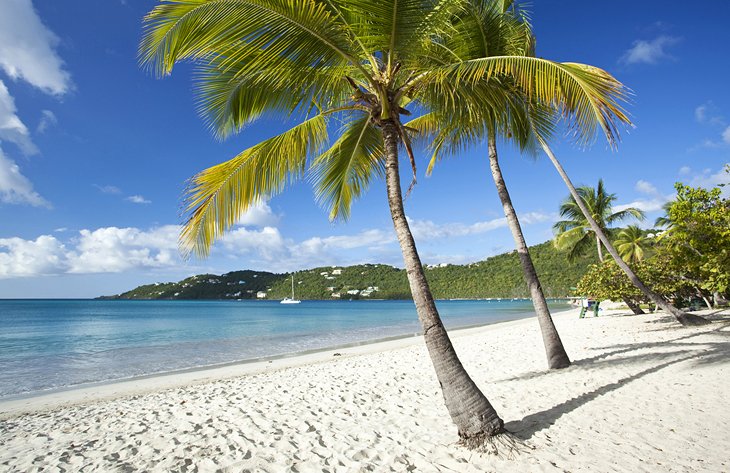 Bahia-Magens-St.-Thomas-Islas-Virgenes-de-los-Estados-Unidos Mejores playas del caribe: Arenas y Aguas Brillantes