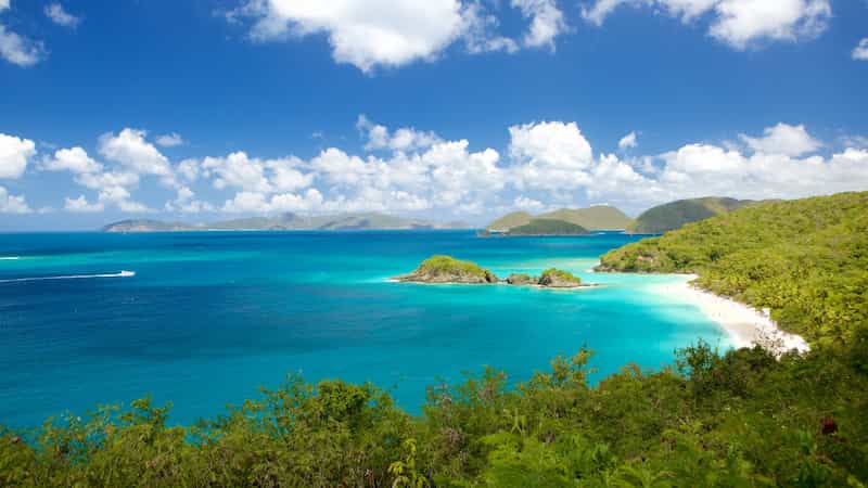 Bahia-Trunk-St.-Johns-Islas-Virgenes-de-los-Estados-Unidos Mejores playas del caribe: Arenas y Aguas Brillantes