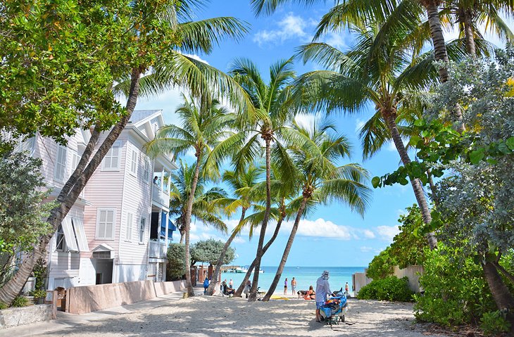 Dog-beach Descubre las mejores playas en Key West para relajarte y disfrutar del sol