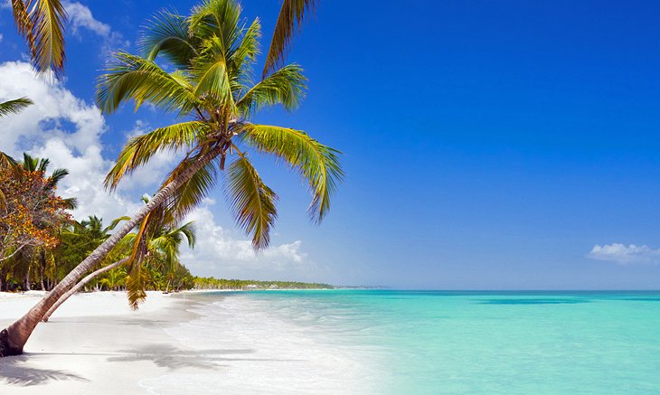 Playa-Bavaro-Punta-Cana-Republica-Dominicana Mejores playas del caribe: Arenas y Aguas Brillantes