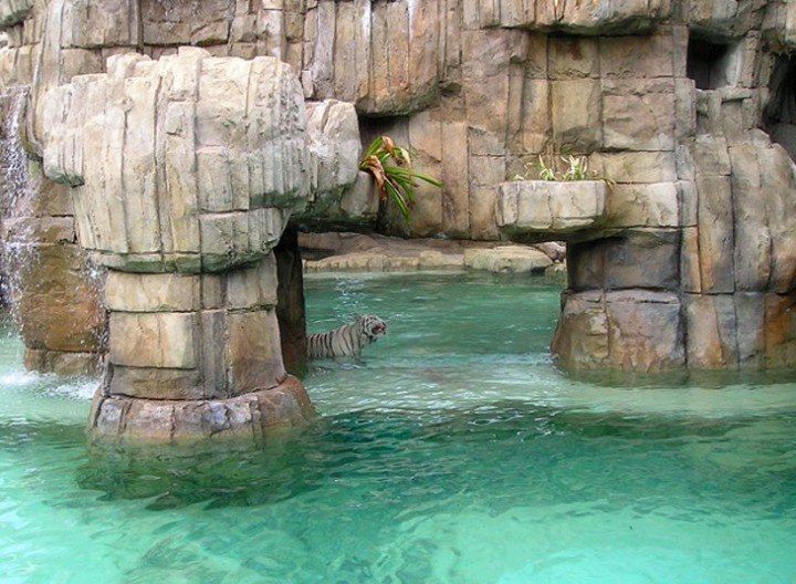 Parque-de-aventuras-Ocean-World Atracciones turísticas en Puerto Plata, República Dominicana